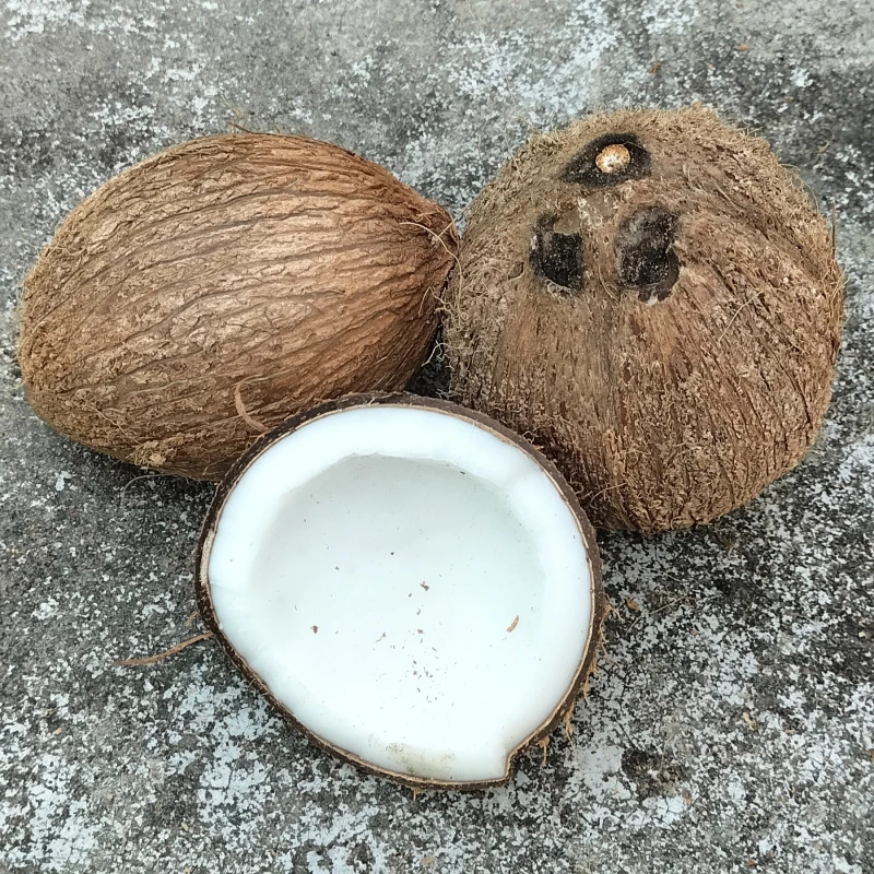 Desi Coconut
