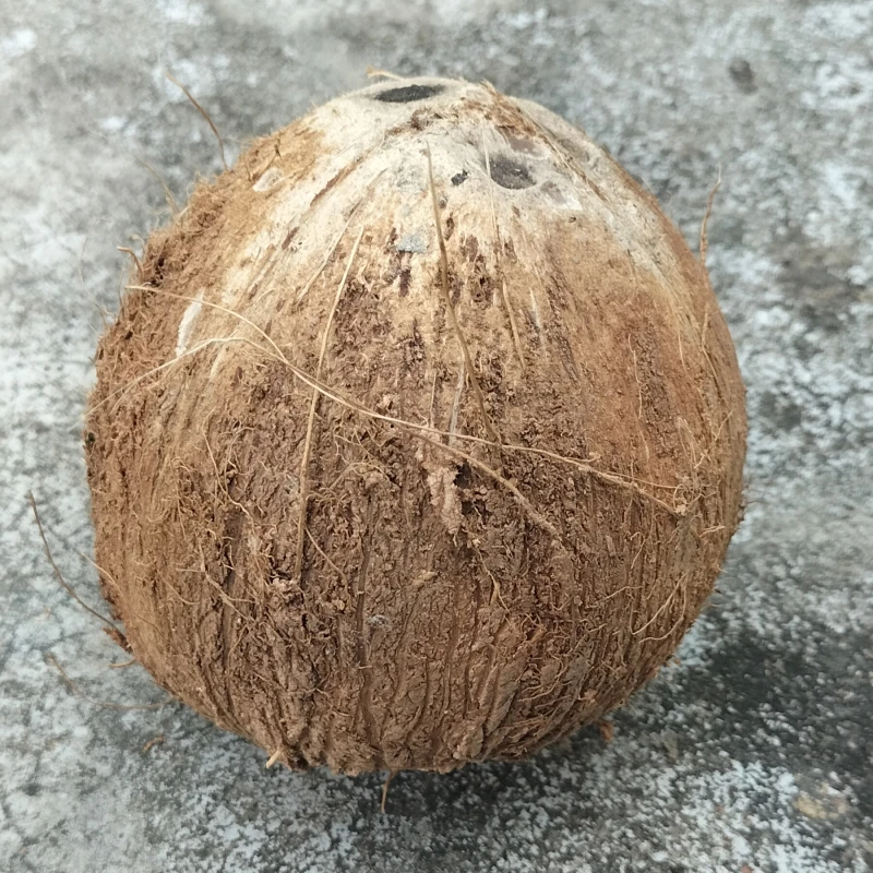 Desi Coconut